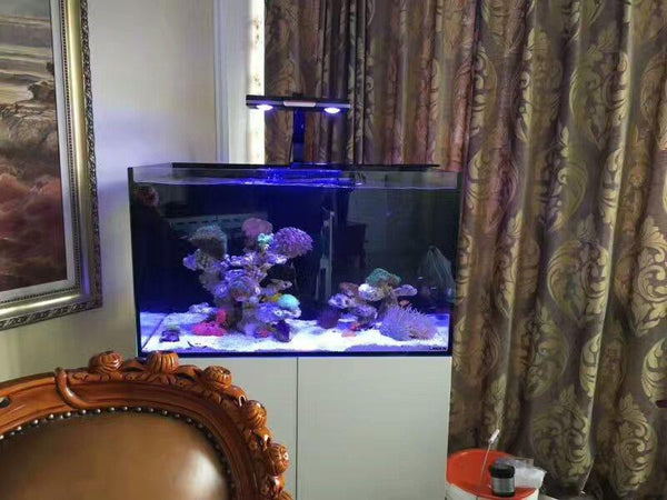 Pixie 150 - LED Aquarium Lighting - Lumini Aqua System - PetStore.ae