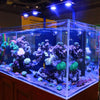 Pixie 150 - LED Aquarium Lighting - Lumini Aqua System - PetStore.ae
