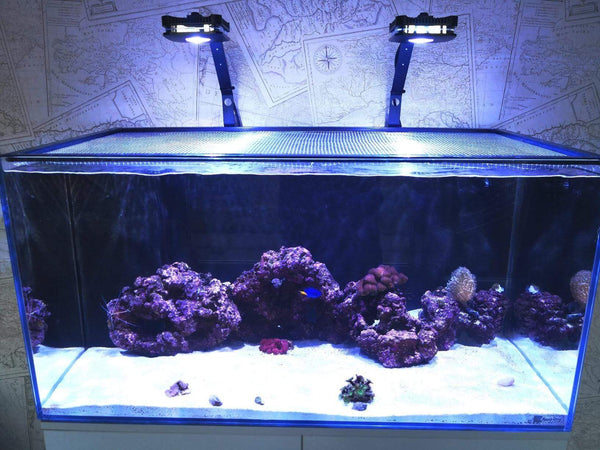 Pixie 30 - LED Aquarium Lighting - Lumini Aqua System - PetStore.ae