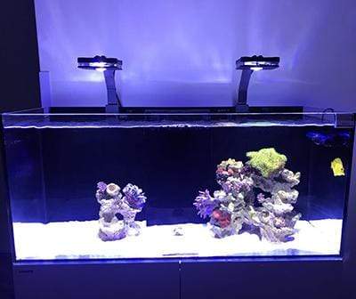 Pixie 80 - LED Aquarium Lighting - Lumini Aqua System - PetStore.ae
