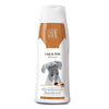 Flea & Tick Dog Shampoo - M-PETS - PetStore.ae