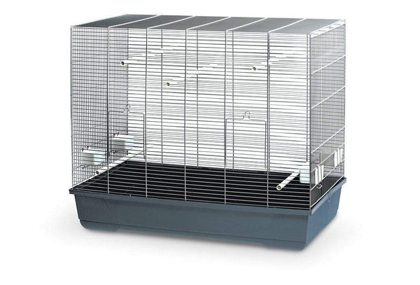 MPS2 - Kloris Bird Cage. L100xW55.5xH70.5 - Each - PetStore.ae