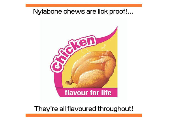 Nylabone Power Chew Wavy Bone Chicken, Large - PetStore.ae