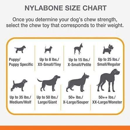 Nylabone Puppy Chew Combo Pack, Medium - PetStore.ae