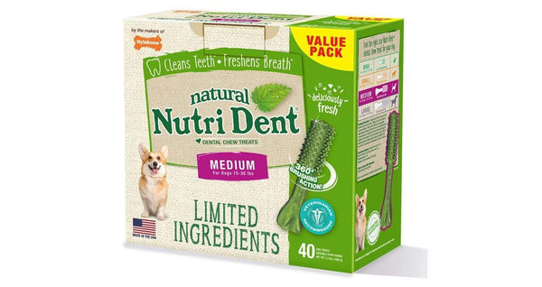 Nylabone Nutri Dent Fresh Breath, Medium - PetStore.ae