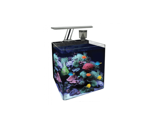 Nano Marine 3 Black Aquarium (31 x 31 x 36 cm)- Ocean Free - PetStore.ae