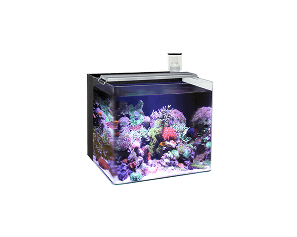 Nano Marine 5 Black Aquarium (60 x 40 x 40 cm)- Ocean Free - PetStore.ae