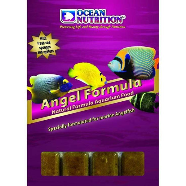 Frozen Angel Formula - Fish Food - Ocean Nutrition - PetStore.ae