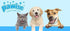 products/pawise-pet-accessories-interactive-toys-pawise-pet-cool-mat-refreshing-blanket-30811740930210.jpg