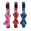 Pawise Cat Collar with Bowknot - PetStore.ae