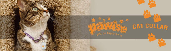 Pawise Flower Cat Collar - PetStore.ae