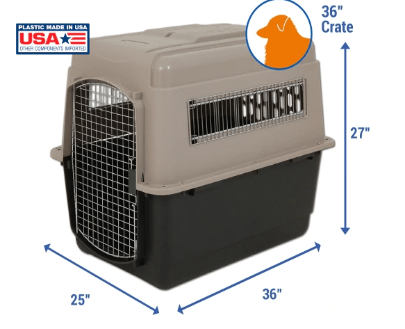 Pet top shuttle carrier
