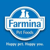Farmina N&D Prime Lamb & Blueberry Canned Cat Food - PetStore.ae