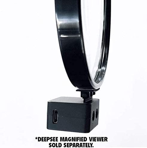 Flipper- DeepSee Viewer Spot Light - PetStore.ae
