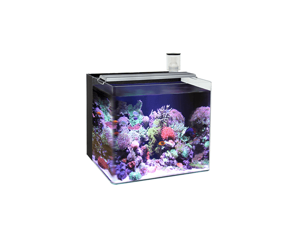 Nano Marine 4 Black Aquarium (44L x 36W x 40H cm)- Ocean Free - PetStore.ae