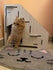 products/petstore-ae-pet-supplies-cat-house-catzone-cat-house-stairs-murphy-30270196121762.jpg