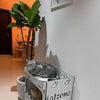 CATZONE Cat House Tower Fortress - MISSY - PetStore.ae