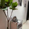 CATZONE Cat House Tower Fortress - MISSY - PetStore.ae