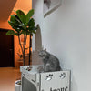 CATZONE Cat House Tower Fortress - MISSY - PetStore.ae