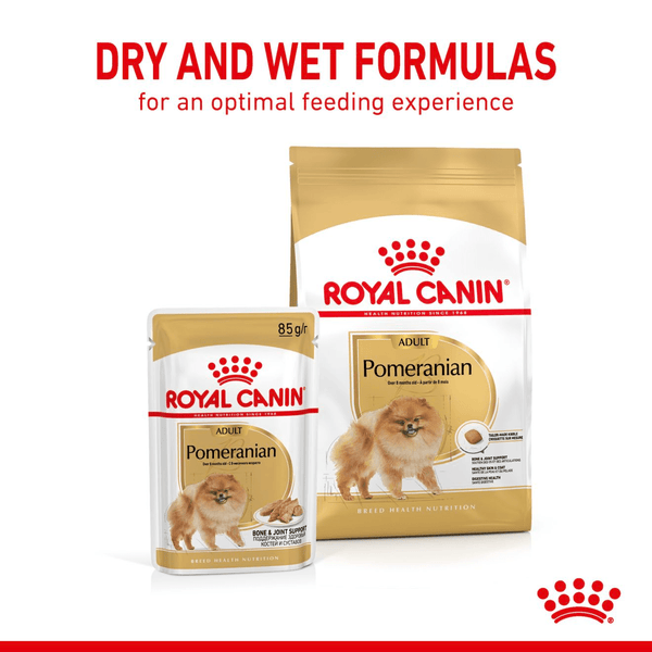 Royal Canin Pomeranian Adult Dry Dog Food & Loaf in Gravy Pouch Dog Food Bundle Pack - PetStore.ae