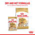 products/petstore-ae-royal-canin-pomeranian-adult-dry-dog-food-loaf-in-gravy-pouch-dog-food-36263427834086.png
