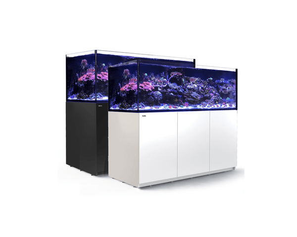 REEFER XXL 750 Aquarium Set (180L x 65W x 148H cm) - Red Sea - PetStore.ae