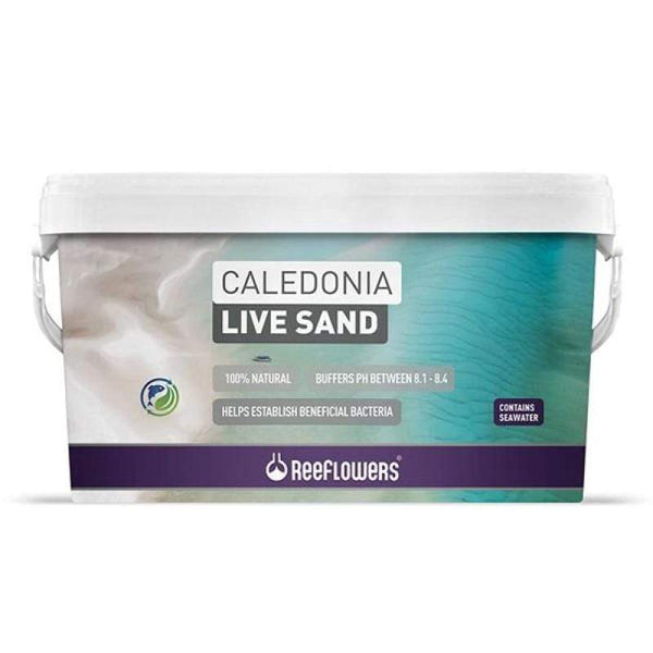 Caledonia Live Sand - ReeFlowers - PetStore.ae