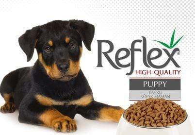 Reflex High Quality Lamb and Rice Food for Puppy - PetStore.ae