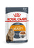 products/royal-canin-food-for-pets-royal-canin-feline-care-nutrition-hair-skin-feline-care-nutrition-intense-beauty-gravy-wet-food-pouches-bundle-pack-34602076405990.jpg