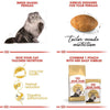 Royal Canin - Feline Breed Nutrition Persian Adult Cat Food & Wet Cat Food PouchBundle Pack - PetStore.ae