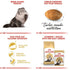 products/royal-canin-non-prescription-cat-food-royal-canin-feline-breed-nutrition-persian-adult-cat-food-wet-cat-food-pouchbundle-pack-36262221512934.jpg
