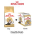 products/royal-canin-non-prescription-cat-food-royal-canin-feline-breed-nutrition-persian-adult-cat-food-wet-cat-food-pouchbundle-pack-36262221742310.jpg