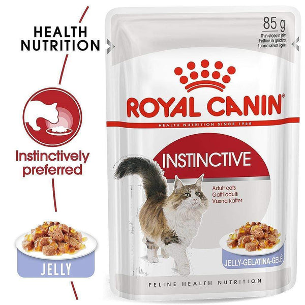 Royal Canin - Feline Health Nutrition Fit 32 Cat Food & Instinctive Adult Cats Jelly (WET FOOD - Pouches) Bundle Pack - PetStore.ae