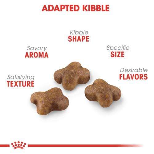 Royal Canin - Feline Health Nutrition Kitten Food 2 kg & Kitten Gravy (WET FOOD - Pouches) Bundle Pack - PetStore.ae