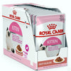 Royal Canin - Feline Health Nutrition Kitten Food 2 kg & Kitten Gravy (WET FOOD - Pouches) Bundle Pack - PetStore.ae