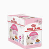 Royal Canin - Feline Health Nutrition Kitten Food & Kitten Jelly (WET FOOD - Pouches) Bundle Pack - PetStore.ae