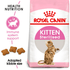 products/royal-canin-non-prescription-cat-food-royal-canin-feline-health-nutrition-kitten-food-kitten-sterilised-kitten-food-bundle-pack-34606943600870.png