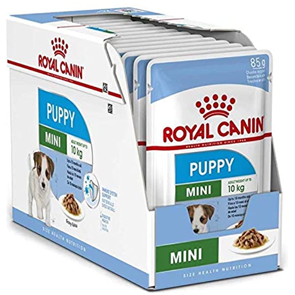 Royal Canin - Mini Puppy Dog Food & Wet Dog Food Bundle Pack - PetStore.ae