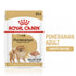 products/royal-canin-non-prescription-dog-food-royal-canin-pomeranian-adult-dry-dog-food-loaf-in-gravy-pouch-dog-food-36286326374630.jpg