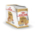 products/royal-canin-non-prescription-dog-food-royal-canin-pomeranian-adult-dry-dog-food-loaf-in-gravy-pouch-dog-food-36286326407398.jpg