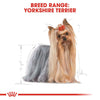 Royal Canin - Yorkshire Terrier Adult Dog Dry Food & Wet Dog Food Pouch Bundle Pack. - PetStore.ae