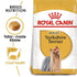 products/royal-canin-non-prescription-dog-food-royal-canin-yorkshire-terrier-adult-dog-dry-food-wet-dog-food-pouch-bundle-pack-36263108772070.jpg