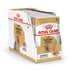 products/royal-canin-non-prescription-dog-food-royal-canin-yorkshire-terrier-adult-dog-dry-food-wet-dog-food-pouch-bundle-pack-36263157760230.jpg