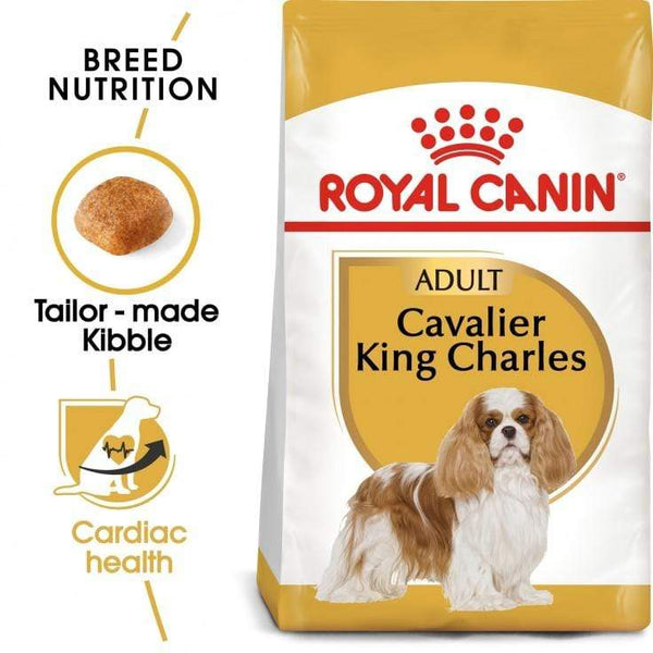 Cavalier King Charles Adult Dog Food - Royal Canin - PetStore.ae