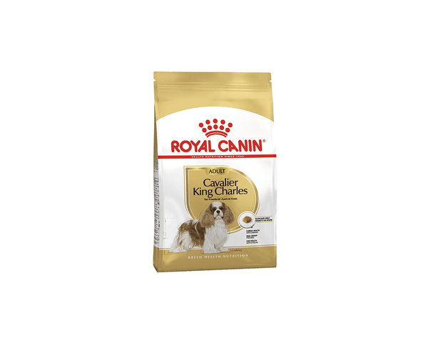 Cavalier King Charles Adult Dog Food - Royal Canin - PetStore.ae