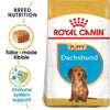 Dachshund Puppy Dog Food - Royal Canin - PetStore.ae