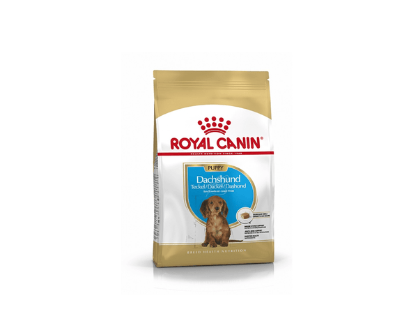 Dachshund Puppy Dog Food - Royal Canin - PetStore.ae