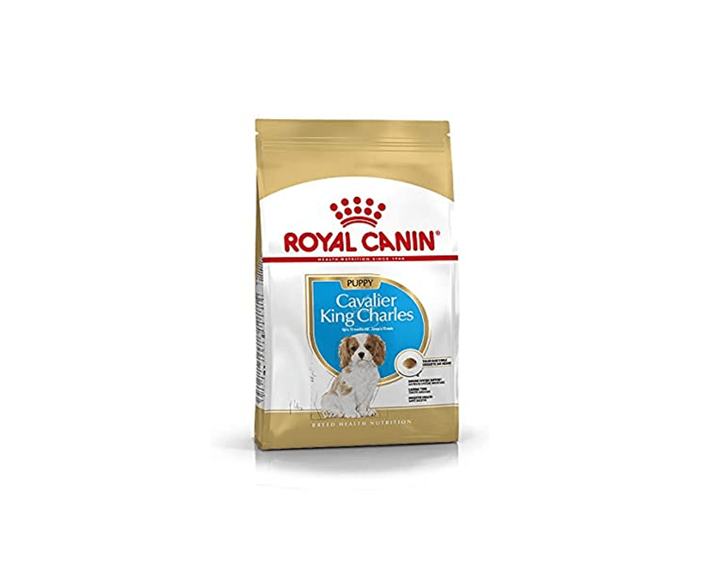 Cavalier king outlet charles puppy food