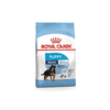 Maxi Puppy Dog Food - Royal Canin - PetStore.ae