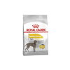 Maxi Dermacomfort Dog Food - Royal Canin - PetStore.ae